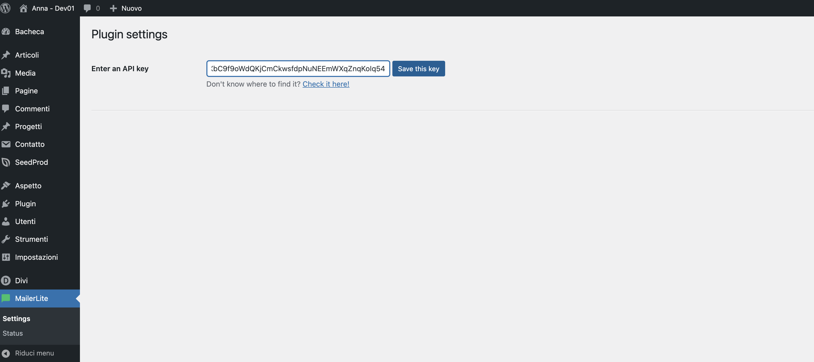 Collegare chiave API MailerLite su WordPress